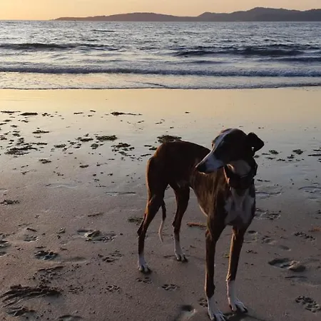 Апартаменты Vistazul Samil *