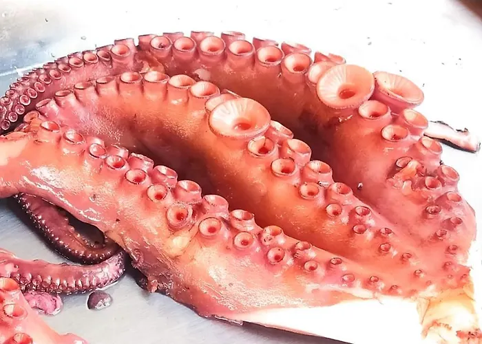 Apartman Vistazul Samil *